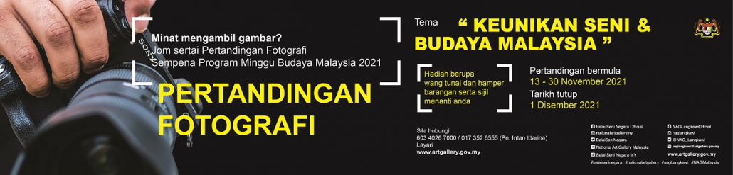 Lembaga Pembangunan Seni Visual Negara Lpsvn